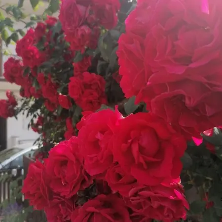 La Dimora Di Venere 펜션