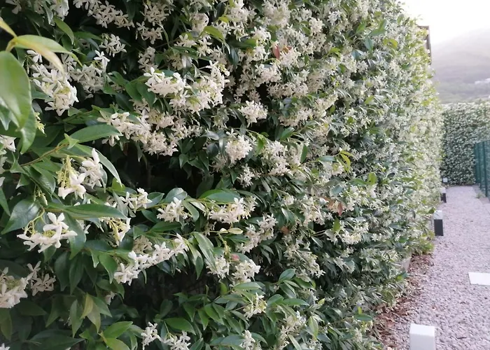 La Dimora Di Venere בית נופש אג'רולה